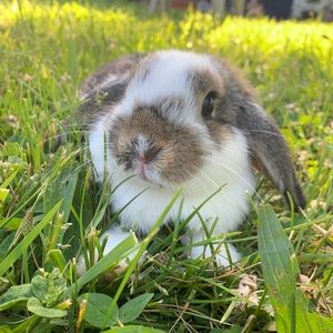 Meet your Posher, Julia